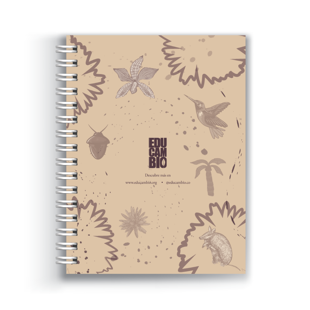 Puerta Inírida Noche - Cuaderno 5 Materias Grande