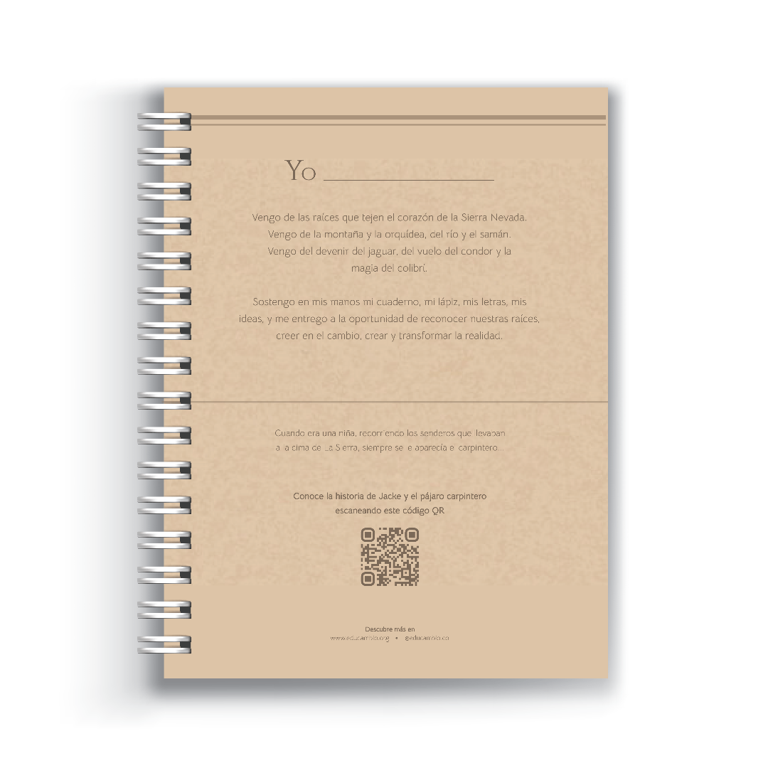 Enraizada Cuaderno 5 Materias